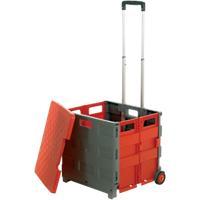 GPC Folding Box Truck Grey, Red with Removable Lid 35 kg Capacity