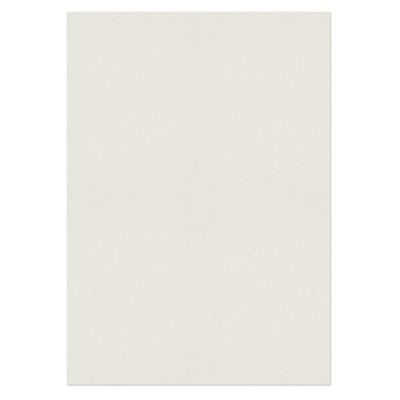 PREMIUM Business Non standard Photo Paper High White 640 (W) x 450 (H) mm 120 gsm Pack of 250