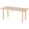 Profile Education Table RECTAB3 Brown 1,200 (W) x 600 (D) x 580 (H) mm