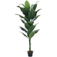 Living and Home Artificial Plant Spathiphyllum Plant PE Polyethylene 160 cm Green