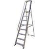 Lyte Ladders Ladder 10 Tread Silver 10 Steps 212 cm