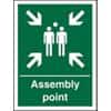 Sign Assembly Point Plastic Green 20 x 15 cm