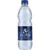 Radnor Hills Still Spring Water 24 Bottles of 500 ml
