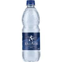 Radnor Hills Still Spring Water 24 Bottles of 500 ml