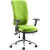 dynamic Triple Lever Ergonomic Office Chair with Adjustable Armrest and Seat Chiro High Back Myrrh Green