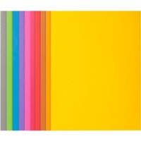 Exacompta Rock''s Square Cut Folder 210500E A4 Cardboard 24 (W) x 32 (H) cm Assorted Pack of 500