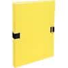 Exacompta Expanding Folders Forever 38006H A4 Yellow Vinyl Coated Paper 24 x 32 cm Pack of 10