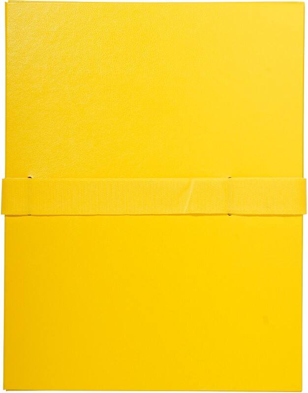 Exacompta Expanding Folders 2649E A4 Yellow Polypropylene 24 x 32 cm Pack of 10