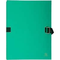 Exacompta Expanding Folders 223290E A4 Light green Cardboard 24 x 32 cm Pack of 10