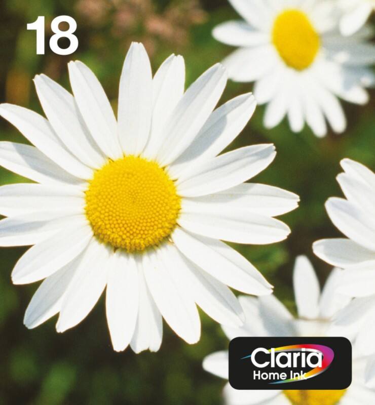 Epson 18 Original Ink Cartridge C13T18064511 Cyan, Magenta, Yellow, Black Pack of 4