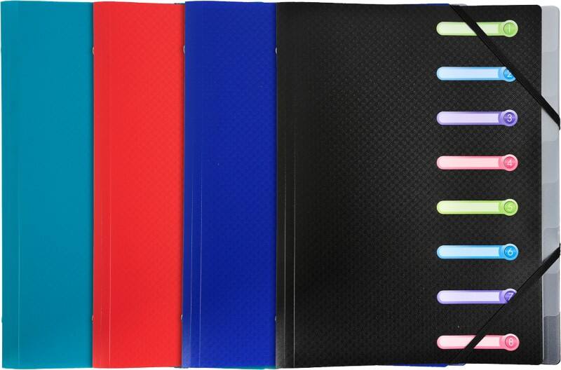 Exacompta Multipart File Special format 8 Part Assorted 56180E 24 (W) x 32 (H) cm Pack of 10