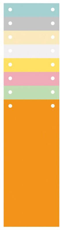 Exacompta Blank Dividers Special format Assorted Multicolour 100 Part Cardboard 2 Holes 13395B Pack of 1200
