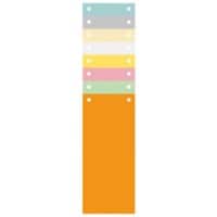 Exacompta Blank Dividers Special format Assorted Multicolour 100 Part Cardboard 2 Holes 13395B Pack of 1200