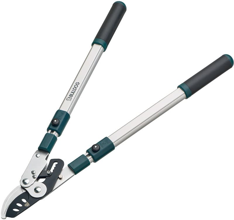 SLINGSBY Shears Silver 380368