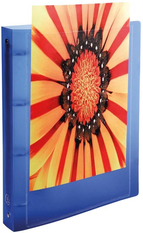 Exacompta Kreacover 15 mm Ring Binder PP (Polypropylene) A4 4 Rings Assorted 51989E Pack of 20