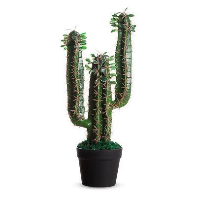 Paperflow Artificial Cactus Plant Polyethylene 260 x 190 x 600mm Green