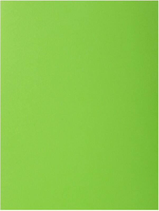 Exacompta 2 Flap Folder 216012E A4 Green 210gsm Cardboard 24 x 32 cm Pack of 250