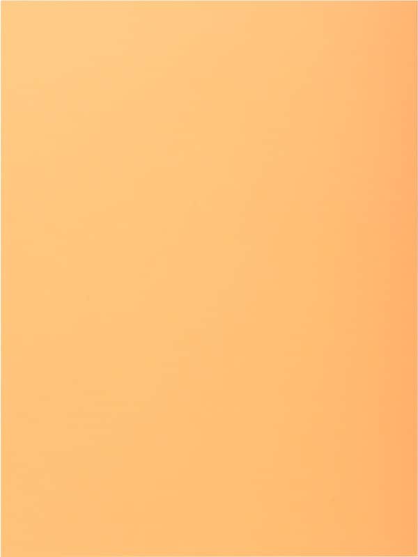 Exacompta 1 Flap Folder 339002E A4 Light Orange Cardboard 24 x 32 cm Pack of 250