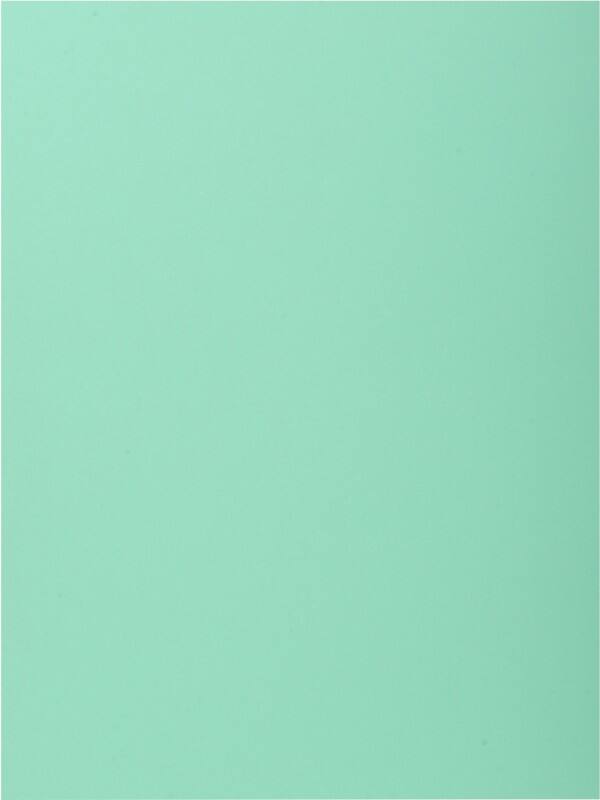 Exacompta 1 Flap Folder 339004E A4 Light Green Cardboard 24 x 32 cm Pack of 250