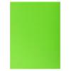 Exacompta Rock''s Square Cut Folder 415003E Cardboard 24 (W) x 32 (H) cm Green 2 Packs of 50