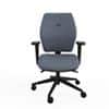 Ergonomic Home Office Chair Fully Upholstered Tri-Curved Posture Backrest Grey  2D Arms