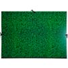 Exacompta Art Folder 532800E Cardboard 520mm x 720mm Green Pack of 5