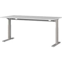 Germania Height Adjustable Desk 4252 - 583 GW - PROFI 2.0 Light Grey, Silver Workspace 1600 x 800 x 700 - 810 mm