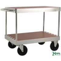SLINGSBY Mobile Trolley with 2 Tiers Steel Silver 1160 x 710 x 920 mm