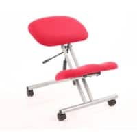 Dynamic Basic Tilt Task Operator Chair Without Arms Kneeling Stool Bergamot Cherry Back, Silver Frame Without Headrest Medium Back