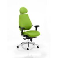 dynamic Stevia Posture Chair Synchro Tilt Fabric Optional Armrest Green 150 kg Chiro Plus Ultimate 710 x 690 x 1,220 mm
