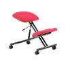 Dynamic Permanent Contact Backrest Kneeling Stool Without Arms Kneeler Bergamot Cherry Seat, Black Frame Without Headrest