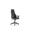 Dynamic Basic Tilt Executive Chair Height Adjustable Arms Winsor With Headrest High Back