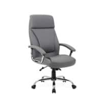 Dynamic Tilt & Lock Executive Chair Fixed Arms Penza Grey Seat Without Headrest High Back