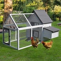 PawHut Chicken Coop D51-102 1120 x 1660 x 1200 mm Grey