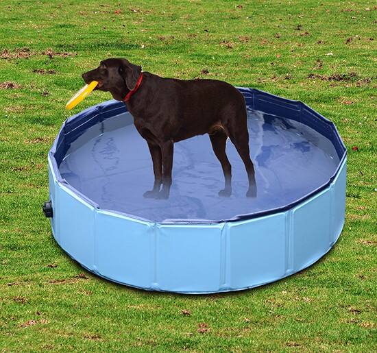 PawHut Pet Swimming Pool D01-004BU 300 x 1200 x 1200 mm Blue