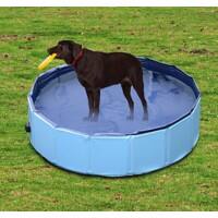 PawHut Pet Swimming Pool D01-004BU 300 x 1200 x 1200 mm Blue