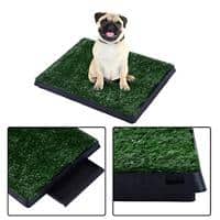 PawHut Dog Toilet Green, Black 630 mm x 510 mm