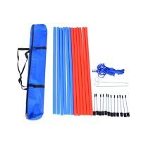 PawHut Pet Agility Set 12x Steel Stakes,  2x Spikes, 1x String. Blue, Red