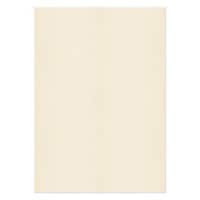 PREMIUM Business Photo Paper 120 gsm Beige Pack of 250