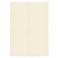 PREMIUM Business Photo Paper 120 gsm Beige Pack of 250