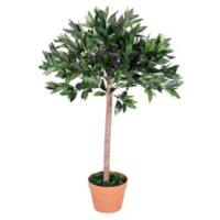 Outsunny Olive Tree Outdoors Water proof Green, Orange 900 mm