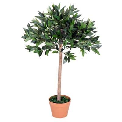 Outsunny Olive Tree Outdoors Water proof Green, Orange 900 mm