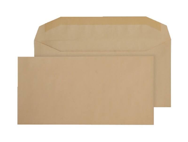 Purely Everyday Mailing Bag DL++ Gummed 114 x 235 mm Plain 80 gsm Manilla Pack of 1000
