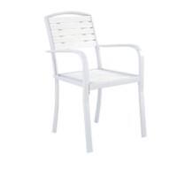 Living and Home Dining Chair WPC (Wood Plastic Composite), Metal 540 x 495 x 545 mm White Pack of 2