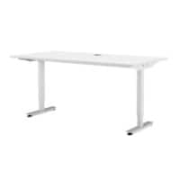 EFG Active Height Adjustable Sit-Stand Desk Rectangular Steel T-Foot 640 - 1,290 mm x 600 mm