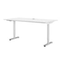 EFG Active Electronically Height Adjustable Sit Stand Desk Rectangular White T-Foot 1,200 (W) x 600 (D) x 1,290 (H) mm Steel