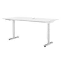 EFG Active Electronically Height Adjustable Sit Stand Desk Rectangular White White T-Foot 800 (W) x 600 (D) x 1,290 (H) mm Steel