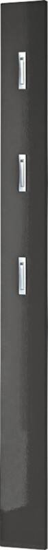 GERMANIA Coat Rack Panel 3255-547 3 Hooks Wallmount 15 x 4 x 170 cm Graphite