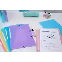 Exacompta Chromaline Pastel 3 Flap Folder 55177E PP (Polypropylene) Rubber Band 24 (W) x 0.2 (D) x 32 (H) cm Coral Pack of 25