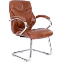 Nautilus Designs Cantilever Chair Real leather Fixed Armrest DPA617AV/TN 700 x 770 x 1,070 mm